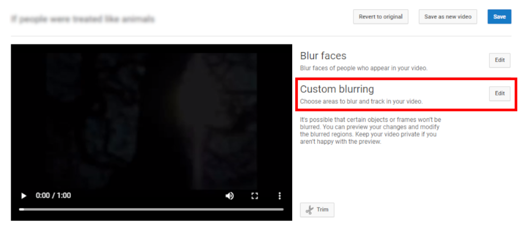 How To Blur Objects In Your YouTube Video Within 5 Minutes - Youtube ...